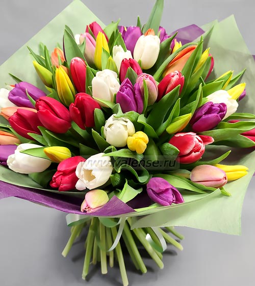 51 тюльпан микс - доставка цветов Валенсе
