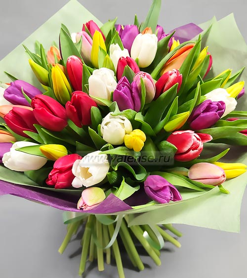 51 тюльпан микс - доставка цветов Валенсе