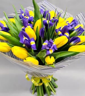 31 тюльпан, ирис