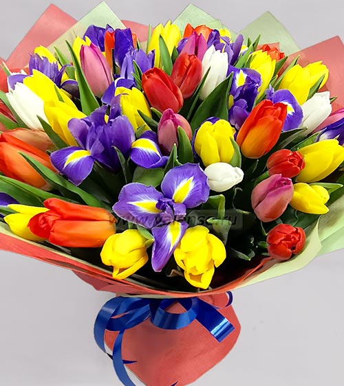 51 тюльпан, ирис - доставка цветов Валенсе