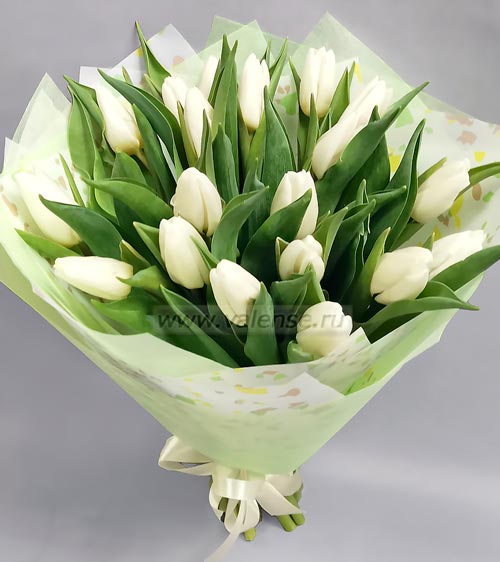 Белые тюльпаны - доставка цветов Валенсе