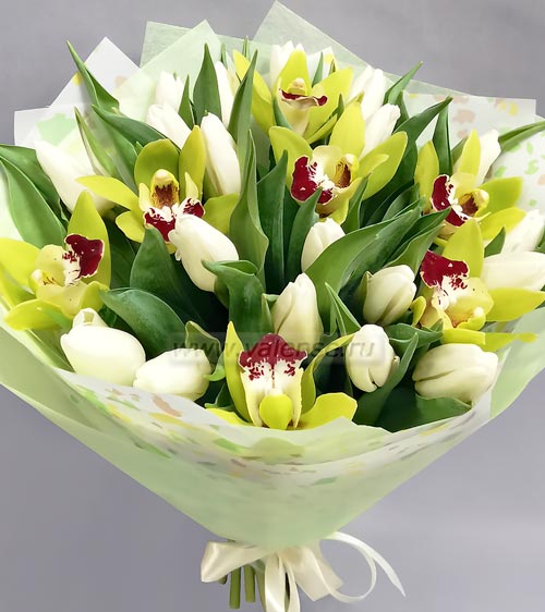 Орхидеи и тюльпаны - доставка цветов Валенсе
