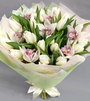 Тюльпаны и орхидеи