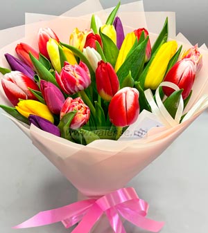 Тюльпаны микс