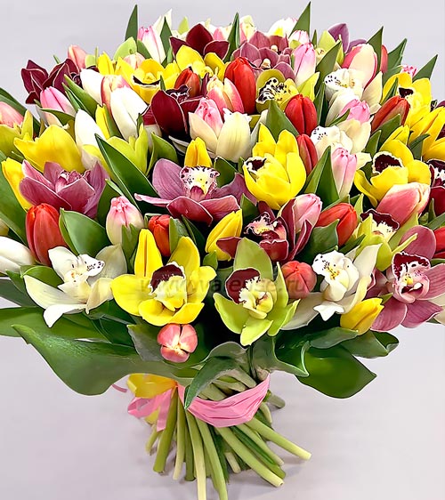 101 Тюльпан и Орхидея - доставка цветов Валенсе