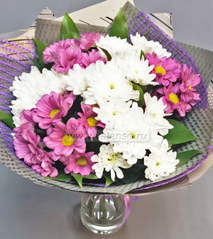 Хризантемки