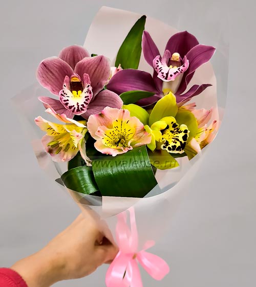 Орхидея и альстромерия - доставка цветов Валенсе