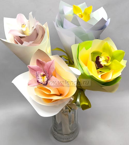 Орхидея - доставка цветов Валенсе вариант исполнения 1 